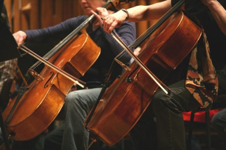 cellos